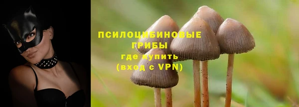 MESCALINE Баксан